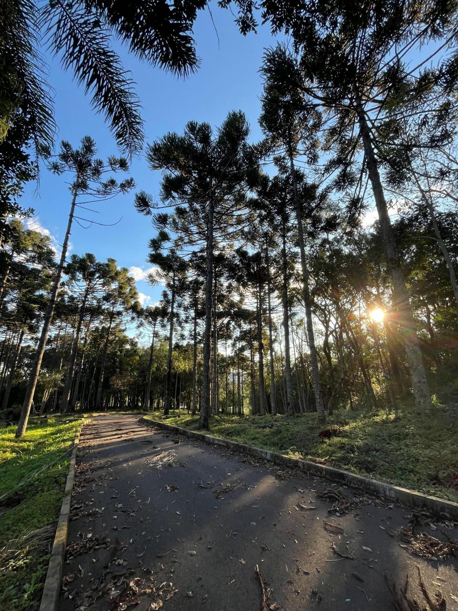 Ville Del Bosco Hotel São Marcos المظهر الخارجي الصورة